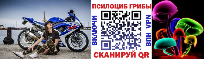 Псилоцибиновые грибы Psilocybe  hydra рабочий сайт  Новохопёрск 